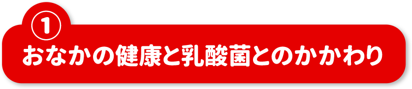 ①おなかの健康と乳酸菌とのかかわり